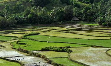 East Nusa Tenggara的旅馆