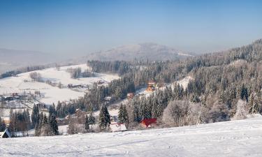 Silesian Beskids的乡村别墅