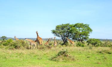 Nairobi National Park的公寓