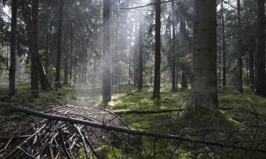 Bialowieza National Park的度假短租房