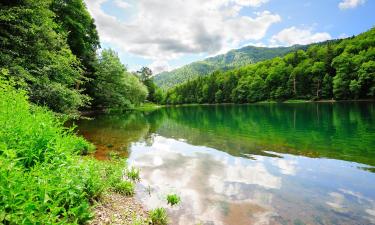 Biogradska Gora National Park的度假屋