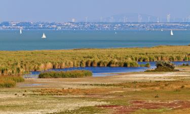 Neusiedler See-Seewinkel National Park的酒店