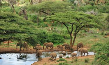 Samburu National Reserve的木屋