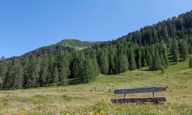 Bad Kleinkirchheim - Nock Mountains National Park的木屋