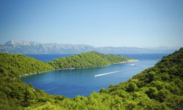 Mljet Island的豪华酒店