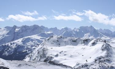 Zillertal Arena的旅馆