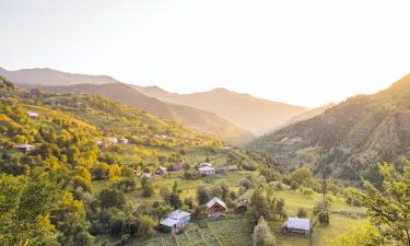 Ajara的住宿加早餐旅馆