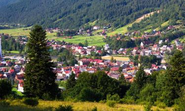 Beskid Mountains的农家乐