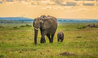 Maasai Mara National Reserve的度假短租房