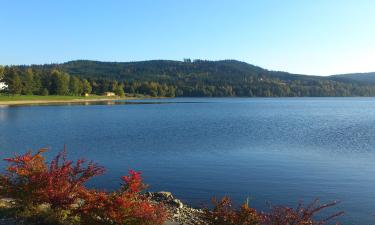 Lake Lipno的度假短租房