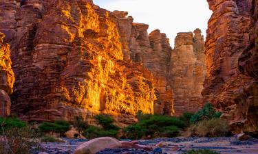 Tabuk Province的海滩短租房