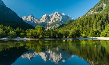 Kranjska Gora 的酒店