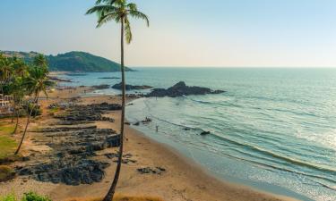 North Goa的海滩酒店