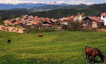 Rhodope Mountains的住宿加早餐旅馆