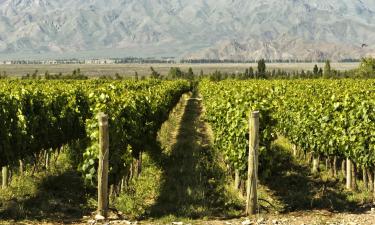 Wine Route Mendoza的别墅