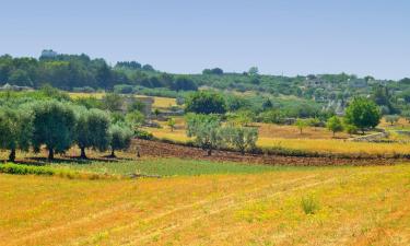 Valle d'Itria的农家乐