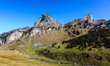 French Pyrénées的木屋