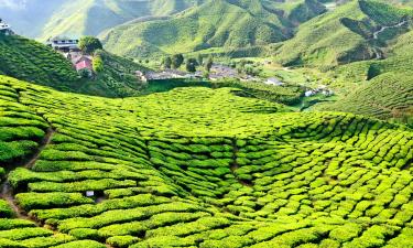 金马仑高原的旅馆