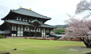 奈良县的住宿加早餐旅馆