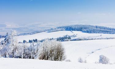 Jeseniky Mountain的乡村别墅