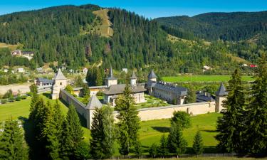 Moldova Monasteries Region的带泳池的酒店