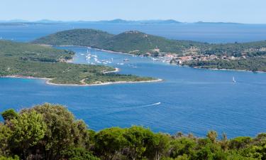 Lošinj Island的露营地