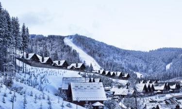 Bukovel Ski的度假村