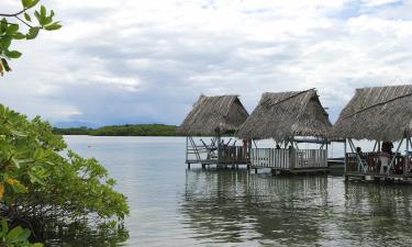 Bocas del Toro的山林小屋