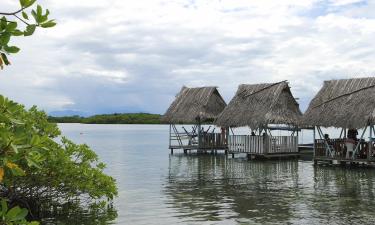 Bocas del Toro的度假村