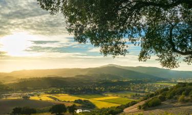 Sonoma County的汽车旅馆