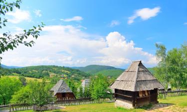 Zlatibor Region的乡村别墅