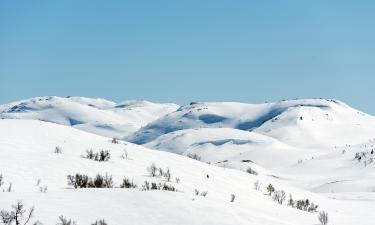 Rauland的滑雪度假村