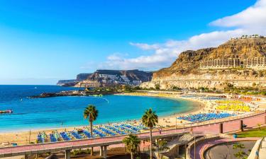 Gran Canaria South的别墅