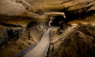 Mammoth Cave National Park的酒店