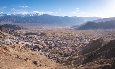 Leh Ladakh的露营地