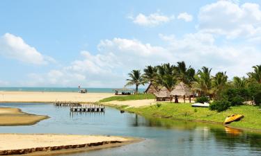 Pondicherry的带泳池的酒店