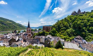 Upper Middle Rhine Valley的旅馆