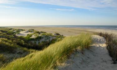 Borkum Island的公寓