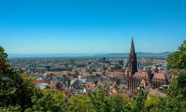 Münsterland的浪漫度假酒店