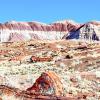 Petrified Forest National Park的豪华帐篷