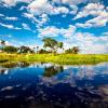 Okavango Delta的山林小屋