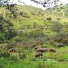 Sierra de Aracena y Picos de Aroche的乡间豪华旅馆