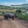 Pilanesberg National Park的住宿加早餐旅馆