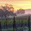 Paso Robles Wine Country 的酒店