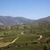 Colchagua Valley Wine Route的旅馆