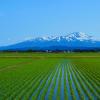 山形的温泉住宿