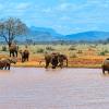 Tsavo East National Park 的酒店