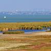 Neusiedler See-Seewinkel National Park的酒店