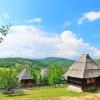 Zlatibor Region的木屋