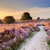 Hoge Veluwe National Park的露营地